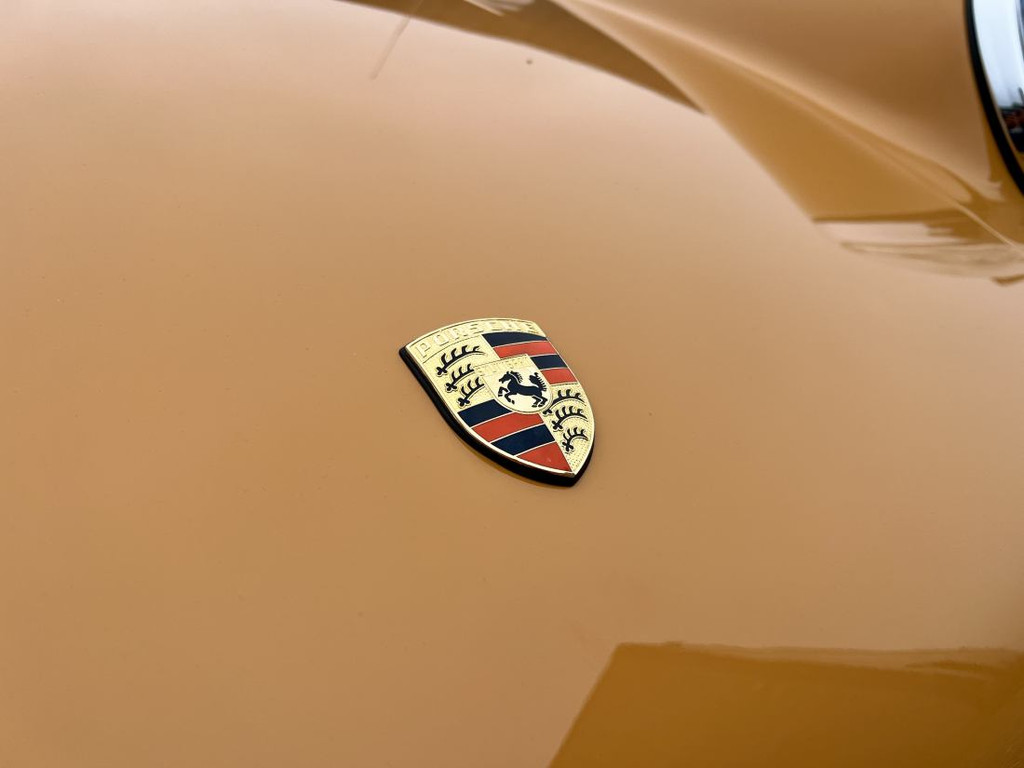 53233009-7.jpg