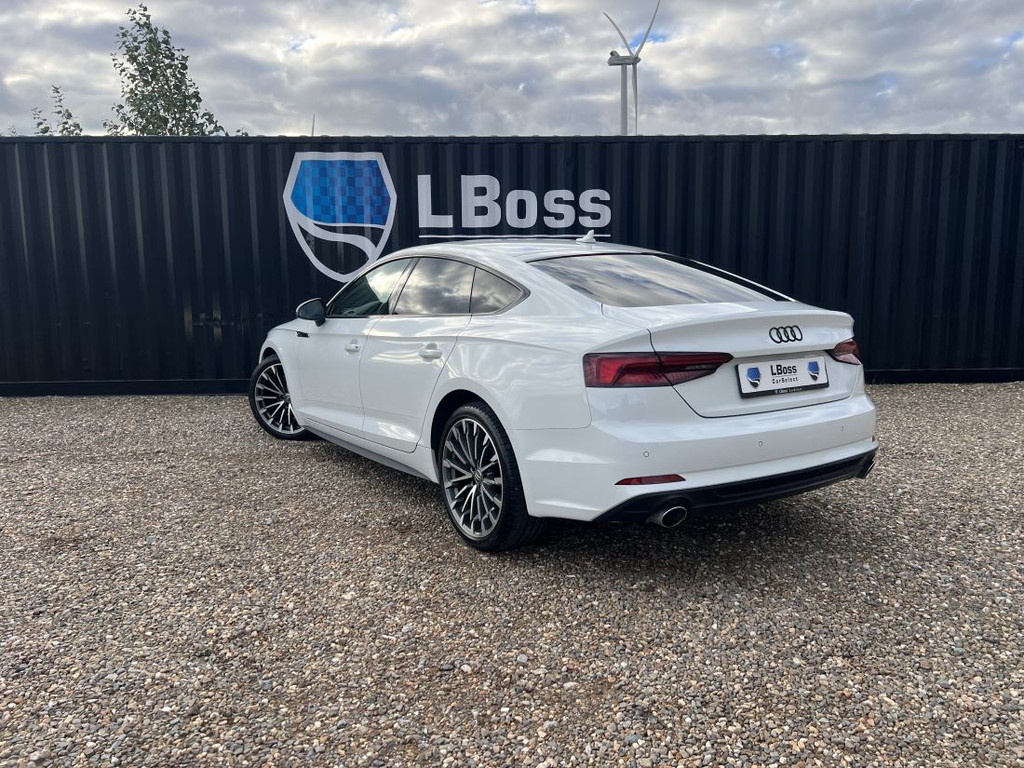 56350187-1.jpg